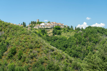 Fototapeta na wymiar Panoramic view of Viano, Tuscany