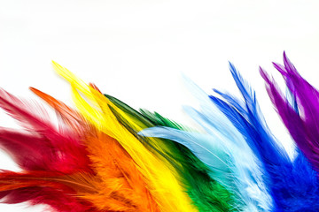 Handmade dream catcher with feathers threads and beads rope hanging on white background