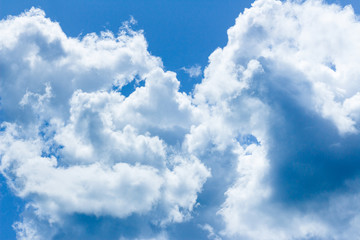 Cumulus Clouds in the blue sky before the storm