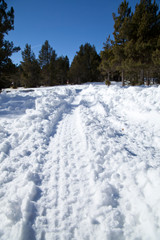 Marcas de pneumático de bicicleta en la nieve