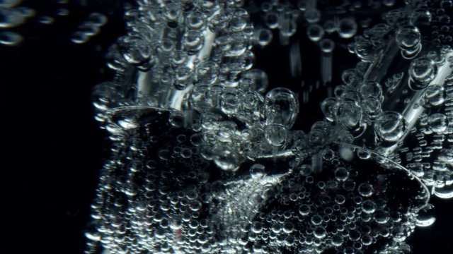 4k Extreme Close-up of Water Bubbles on Flower