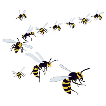 vector, isolated, flying wasp, bees on a white background