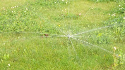 Modern irrigation system watering the grass