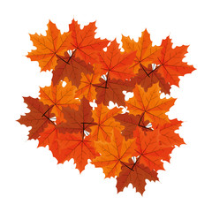 happy autumn season flat design