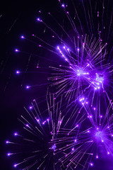 Violet firework in the night sky. Purple fireworks