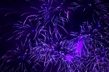 Purple fireworks in the night sky. Violet festive firecracker