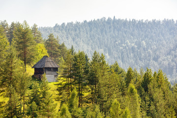 Traditional mountain house, deep inside green forest.