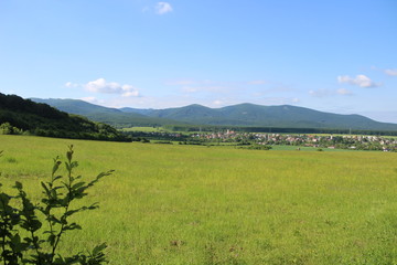 Fototapeta premium green field and blue sky