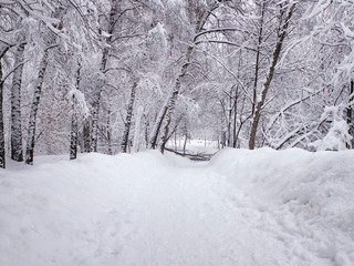 Snow-covered path, stuck snow on the trees and broken fallen tree branches. Park in the snowy wintertime