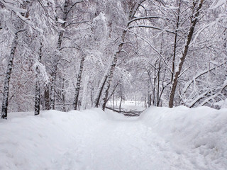 Snow-covered path, stuck snow on the trees and broken fallen tree branches. Park in the snowy wintertime