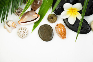 Obraz na płótnie Canvas Spa concept on white background, palm leaves, tropical flower, shells and zen like stones, top view, copy space.