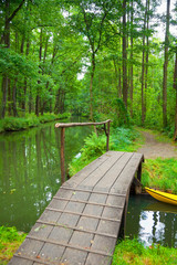 View of the famous “Spreewald“, Germany.