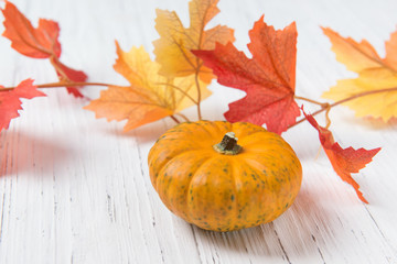 Mini pumpkin and Autumn leaves on a white wooden table