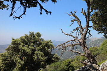 Ascent from Lluc to Masanella, West Coast, Mallorca, Spain