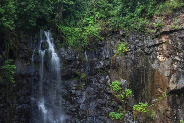 Fototapeta na wymiar Beautyful natural waterfall in kerala forest