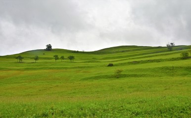 Fototapeta premium landscape with green field and cloudy sky
