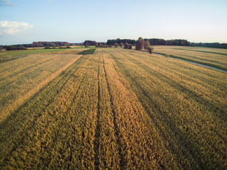 arable fields seen from above, agriculture