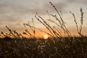 natural environment landscape