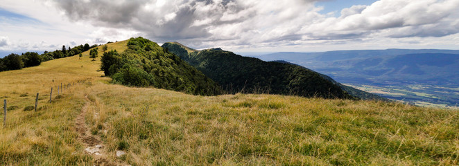 Fototapeta na wymiar Randonnée vers le massif du Grand Colombier, massif forestier, Ain, France
