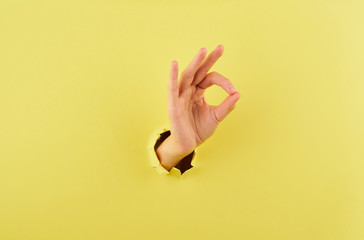 Naklejka premium Woman showing a sign of agreement on yellow background copy space closeup