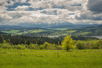 Fototapeta na wymiar View on the Czorsztynskie lake and Tatra mountains from Czorsztyn, Pieniny, Poland