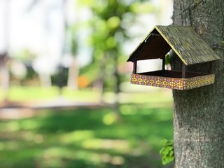 Birdhouse on a tree in the park. Bird feeder hanging on a tree. Against the background of green forest. House for birds and squirrels hanging on a tree. - image