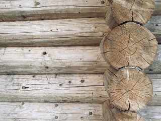 Logs of a wooden house. House of timber, logs close-up. Background texture: a wall of logs.