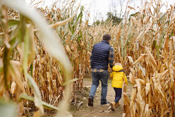 Little boy and his father having fun on pumpkin fair at autumn. Family walking among the dried corn...