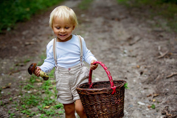 Adorable child, little boy picking mushroom in basket
