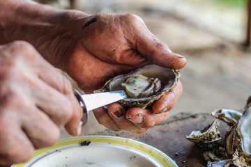 Selective Focus Closeup of a Man's Large Strong Hands using an Oyster Knife to Demonstrate how to...