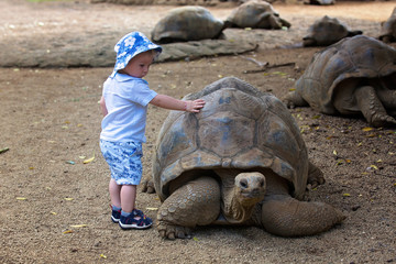 Happy family, children and parents, feeding giant tortoises in a exotic park on Mauritius island