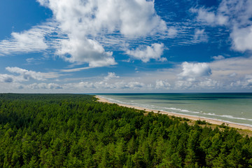 Summer coastline landscape. Green forest. Blue sea.