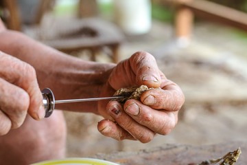 Selective Focus Closeup of a Man's Large Strong Hands using an Oyster Knife to Demonstrate how to Shuck a Rappahannock River Oyster