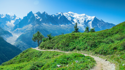 French Alps Panoramic, with Montblanc and Glaciere de la Mére during a summer tour in Chamonix