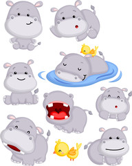 a vector of a cute hippo in many poses - obrazy, fototapety, plakaty