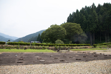 一乗谷朝倉氏遺跡
