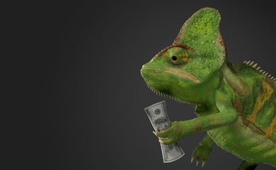 Chameleon holding money © Talaj