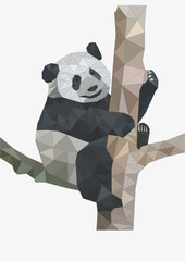 PANDA, LOW POLY PANDA, TRIANGLES, TRÓJKĄTY,WILD LIFE © Joanna