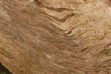 Beautiful abstract texture on a brown wooden background