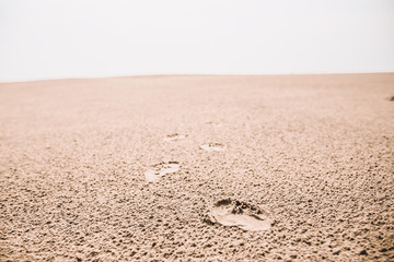 Close up off footprints in the sand in the danish desert