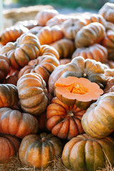 a lot of Autumn pumpkins at outdoor farmers market on display for sale ready for Halloween