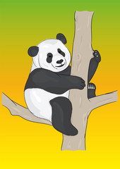 panda, cartoon, komiks, rysunkowy, sketch panda,wild nature, wild life © Joanna