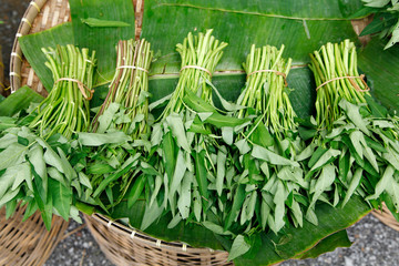 Fresh harvested chinese morning glory vegetable in thailand market