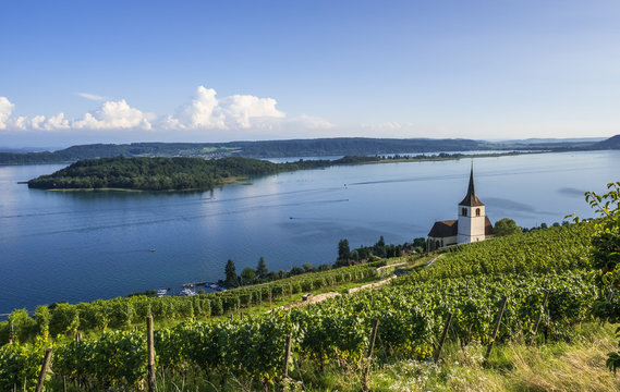 Blick auf die St. Petersinsel und die Kirche von Ligerz am Bielersee, Schweiz