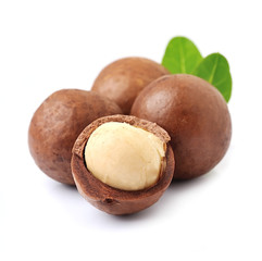 Macadamia nuts isolated on white backgrounds.