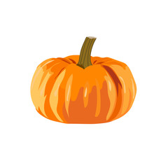 Ripe orange pumpkin, autumn fruit.