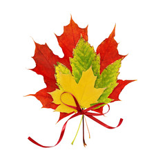 Red silk ribbon bow with autumn colorful maple leaves
