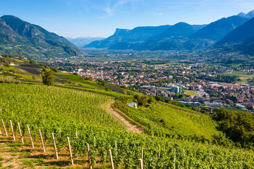 Fototapeta na wymiar The city of Merano in Alto Adige / View from Tirolo