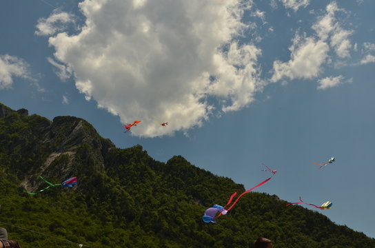 Acquiloni