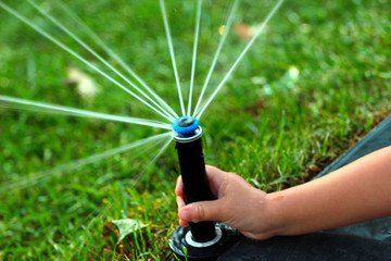 Rotating sprinkler on a green lawn